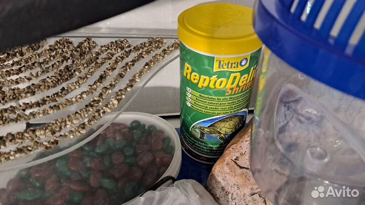 Террариум для красноухой черепахи