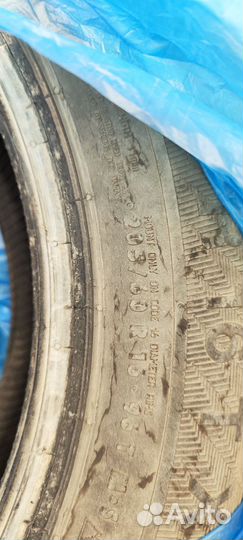 Gislaved NordFrost 100 205/60 R16 96