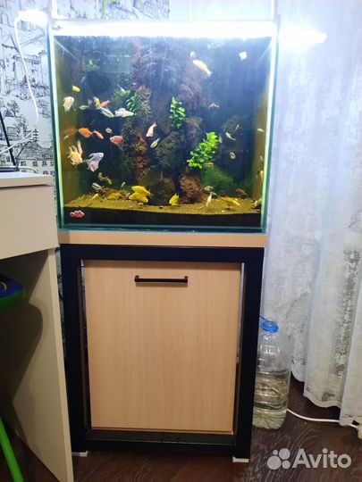 Аквариум с тумбой 110 литрв