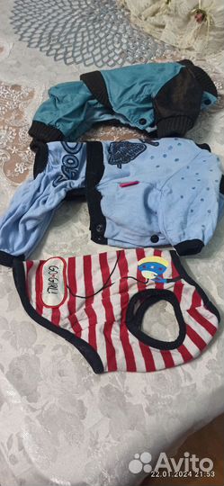 Одежка для собачек