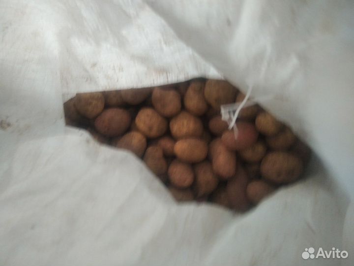 Картофель с доставкой до подъезда