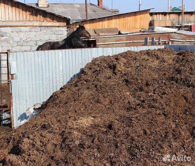 Навоз, перегной (Органические удобрения)