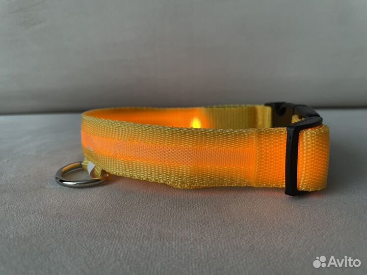 Светящийся ошейник для собак