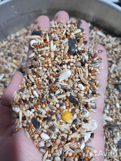 Корма для всех видов попугаев, канареек