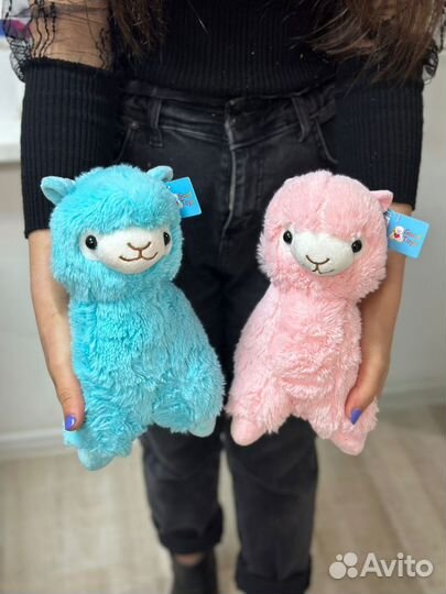 Цветы и подарки