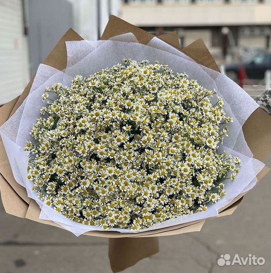 Букеты ромашек