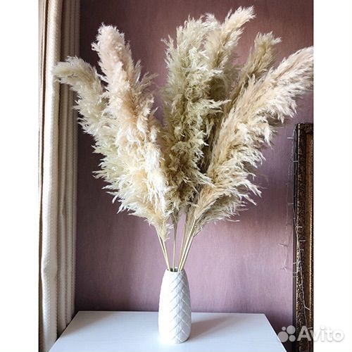Пампасная трава для декора