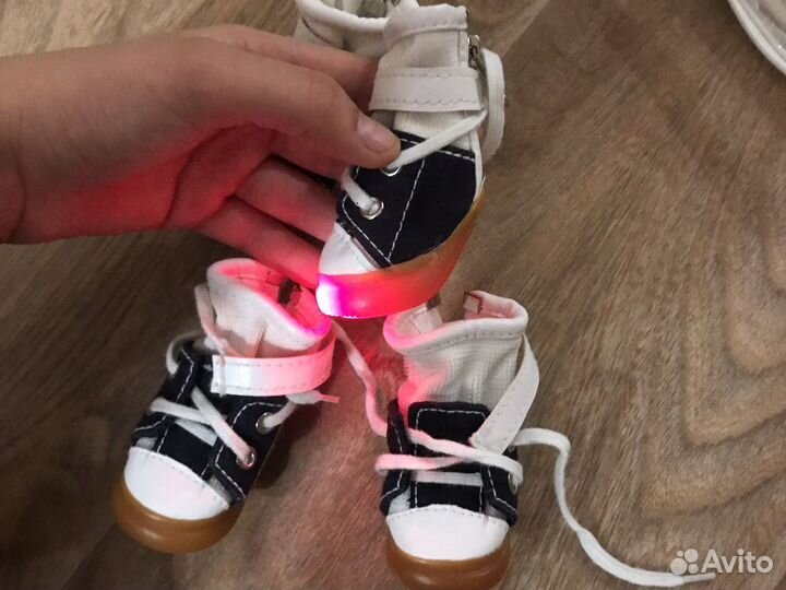 Обувь для собак и котов