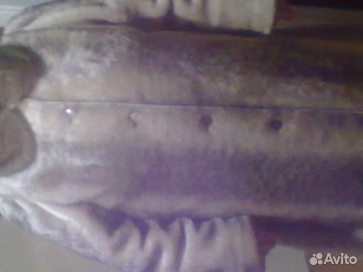 Шуба мутоновая новая с воротником из норки 64-66рр