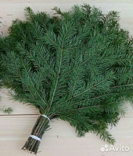 Веники для бани, свежие пихта, можжевельник