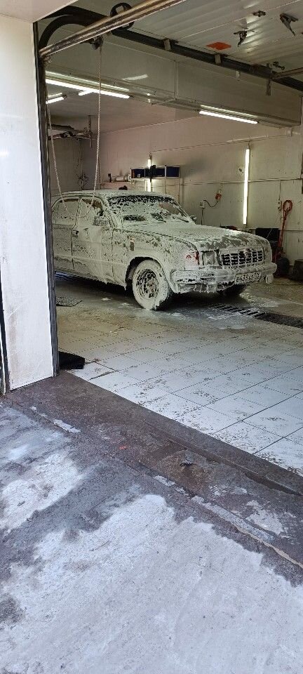 ГАЗ 31029 Волга: фото владельца