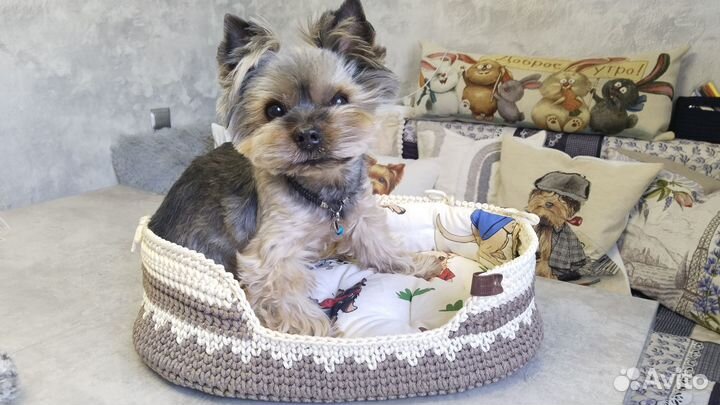 Лежанка для животных