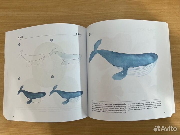 50 идей для рисования акварелью. Лена йокота-барт