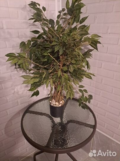 Комнатные растения искусственные