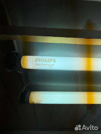 Лампа люминисцентная Philips 36W