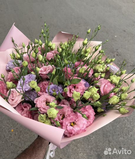 Эустома китайская роза