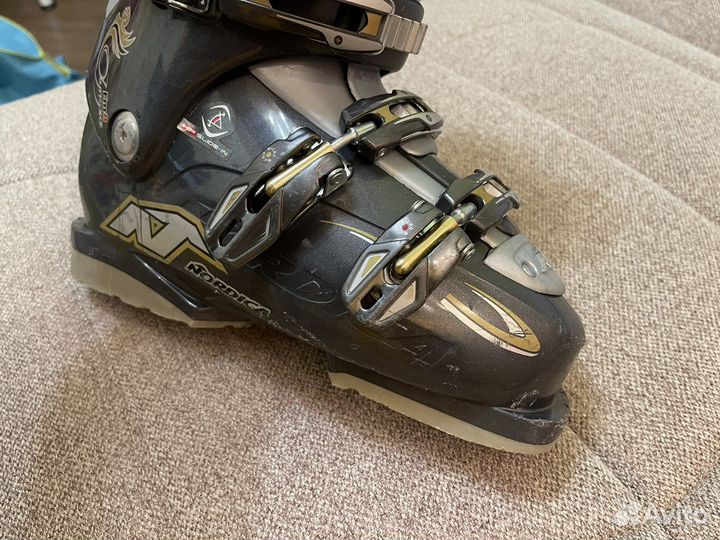 Горнолыжные ботинки