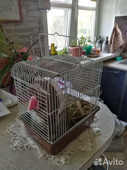 Клетка для хомяков и мелких грызунов 169, эмаль (2