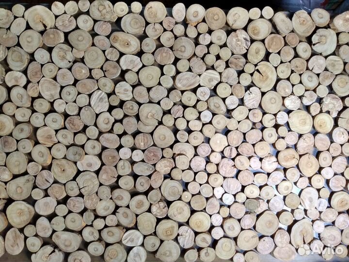 Срезы древесины для декора,творчества