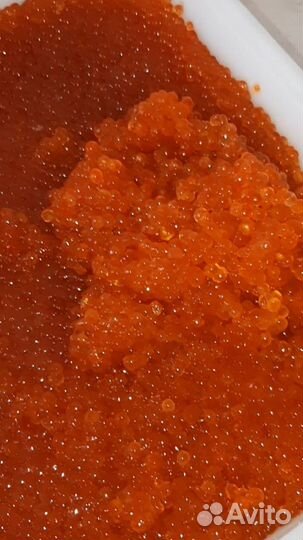 Рыба и морепродукты