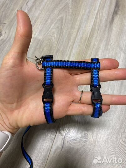 Аксессуары для кролика