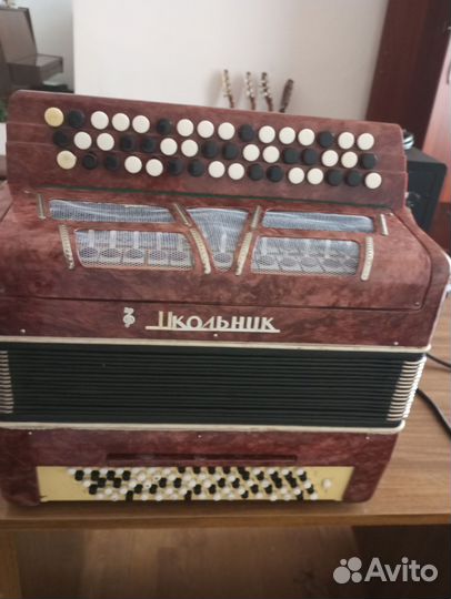 Баян Школьник