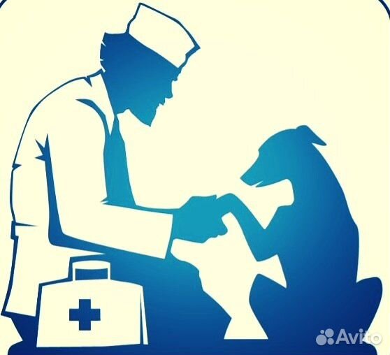 Усыпление и кремация животных 24/7 (кошки,собаки)