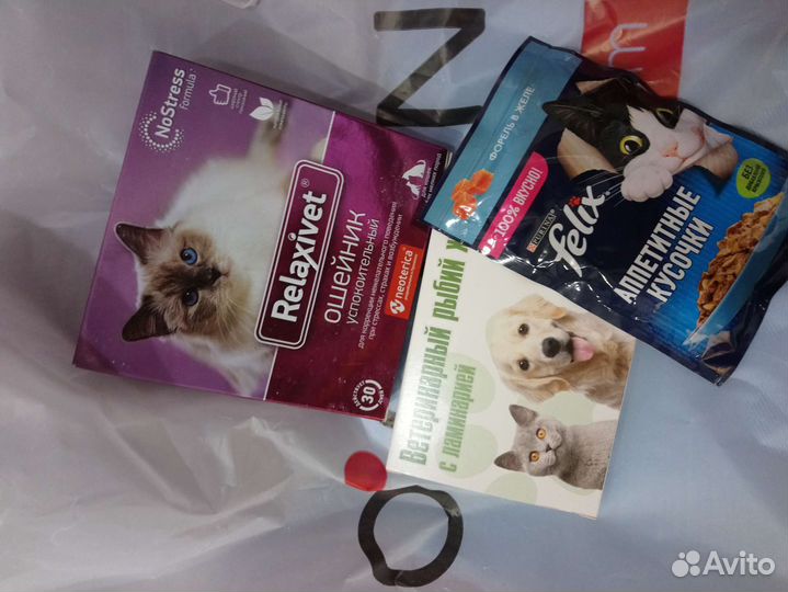 Ошейник и корм