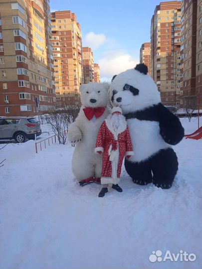 Медведь поздравление Очуметь