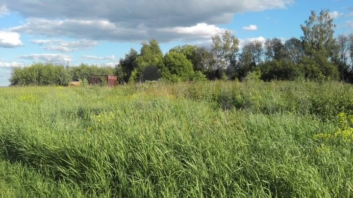 Участок 2,36 га (СНТ, ДНП)