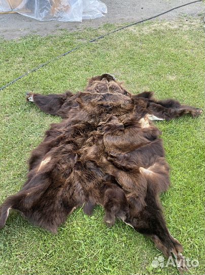 Шкура медведя имитация