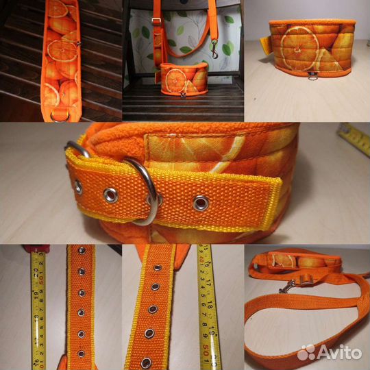 Ошейник, намордник для собак