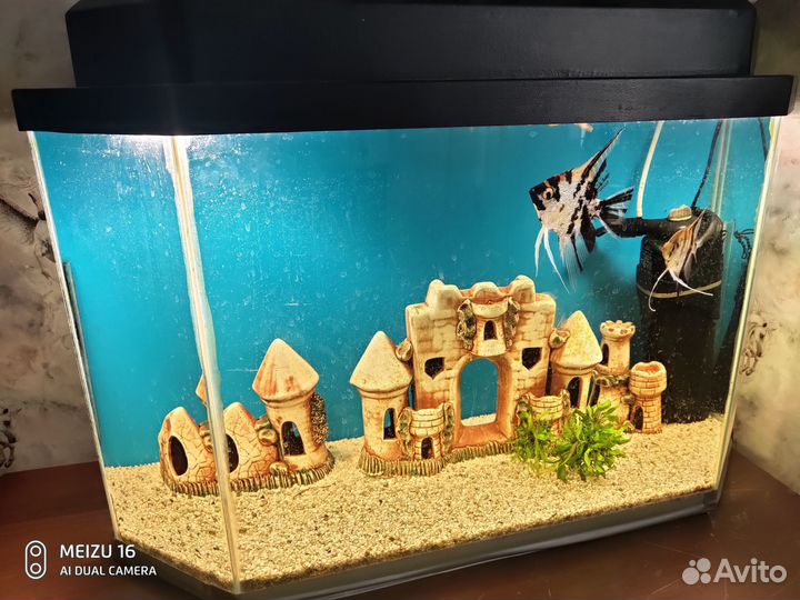 Аквариум