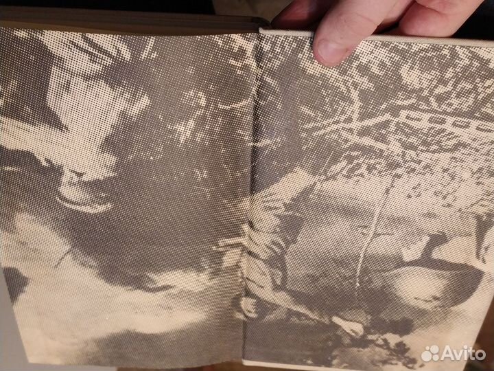 1941-1945 в одной газете