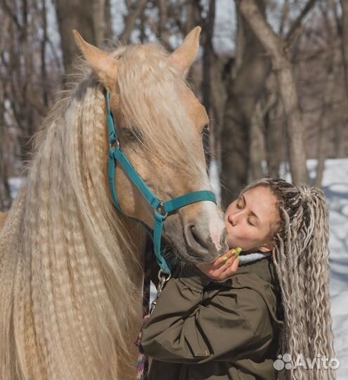 Занятия верховой ездой.Прокат лошадей и пони