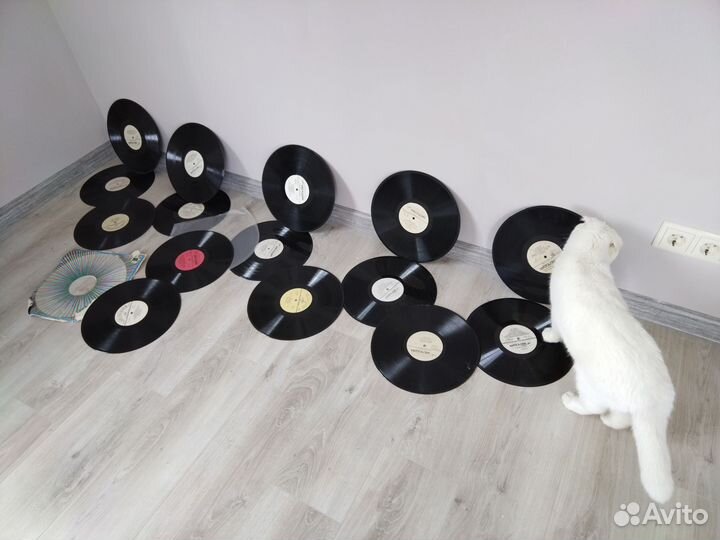 Грампластинки
