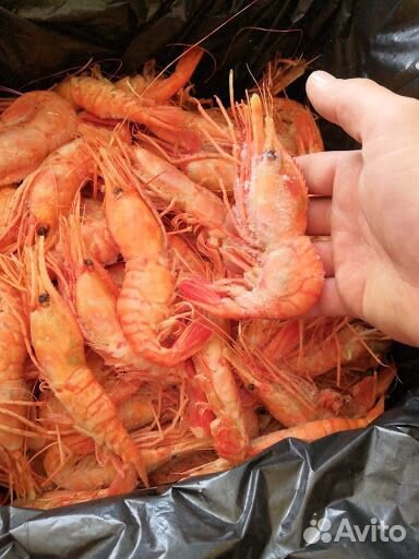 Морепродукты