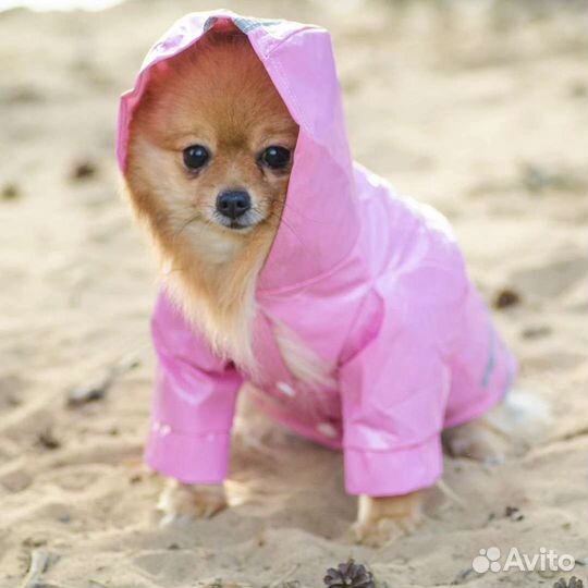 Одежда для собак кошек дождевик толстовка новый