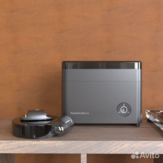 Ультрозвуковая мойка пластинок HumminGuru