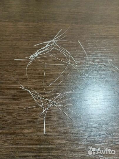 Кошачьи усы (от шотландских кошек)