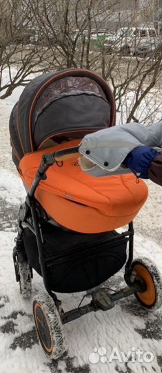 Коляска Adamex champion