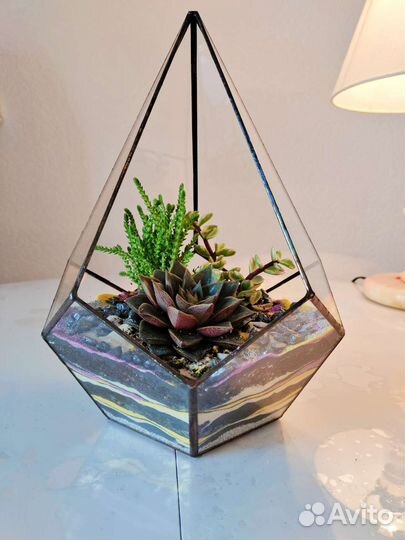 Флорариум с суккулентами