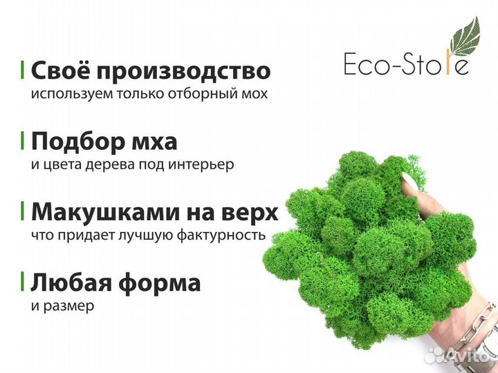 Панно из мха круглое