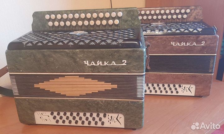 Гармонь чайка 2