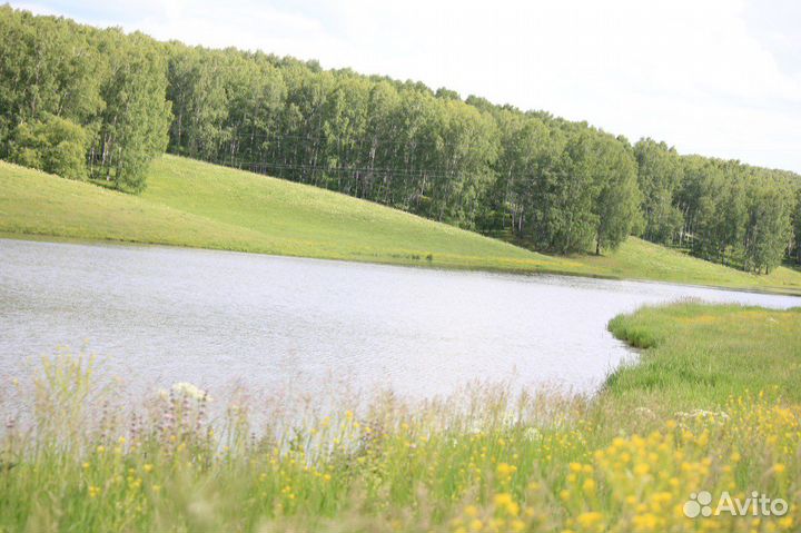 Прудовое хозяйство