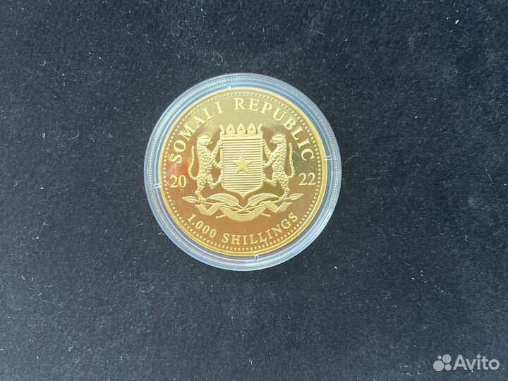 Золотая монета