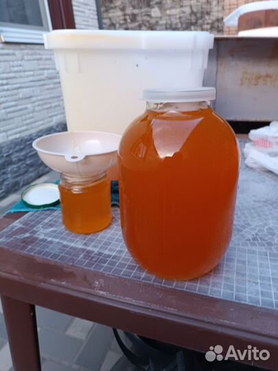 Мед разнотравье