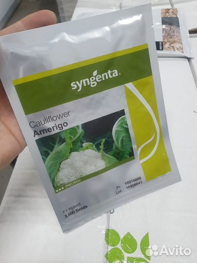 Семена Капуста Америго цветная 2 500с Сингента