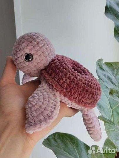 Черепашка пончик