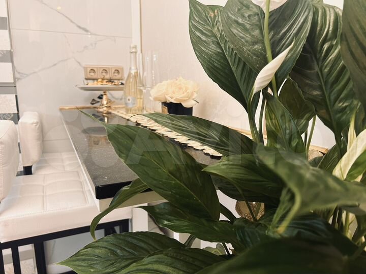 1-к. квартира, 28 м², 5/22 эт.